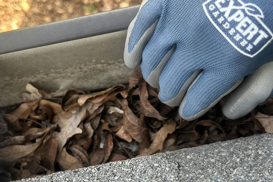 Gutter Cleaning New Hope