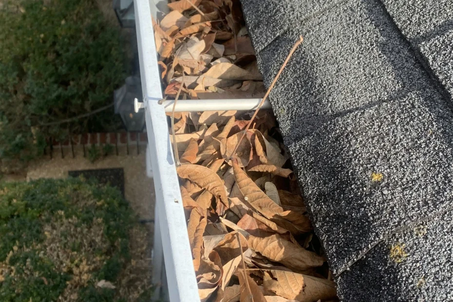 Gutter Cleaning New Hope